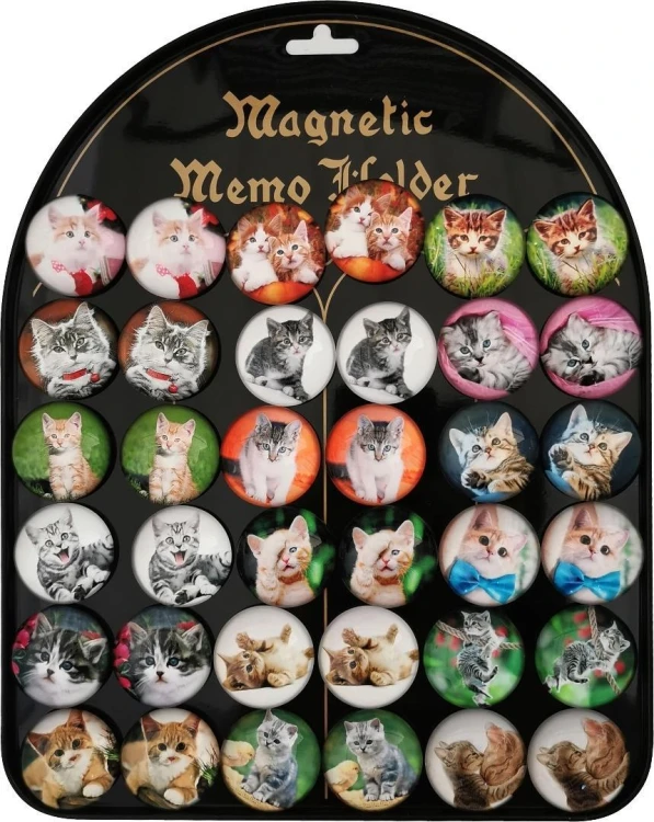 Magnesy koty 3,5cm 36szt, Aliga