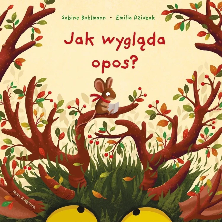 Jak wygląda opos?, Bohlmann Sabine, Emilia Dziubak
