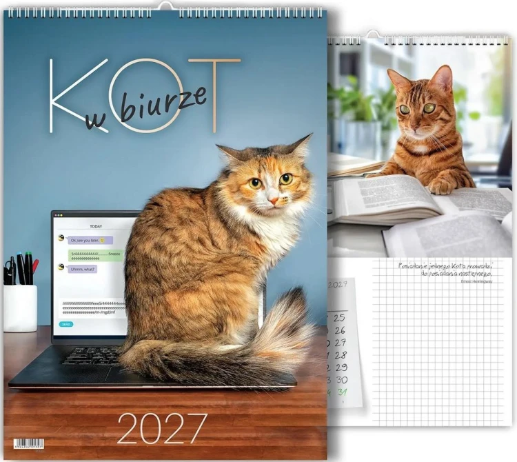 Kalendarz 2027 wieloplanszowy Kot w biurze