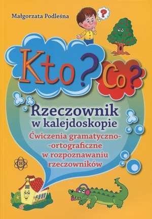 Kto? Co? Rzeczownik w kalejdoskopie