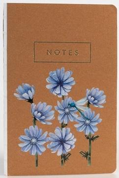 Notes Cykoria, Niezapominajka