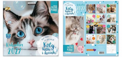 Kalendarz 2027 ścienny Classic Q Koty