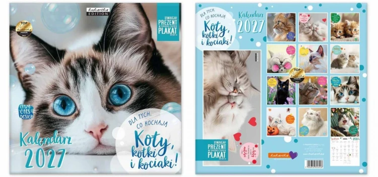 Kalendarz 2027 ścienny Classic Q Koty