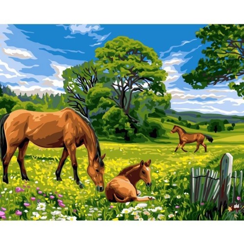 Malowanie po numerach 40x50cm Konie na łące