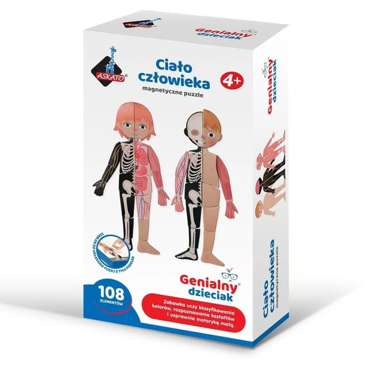 Puzzle magnetyczne ciało człowieka, Askato