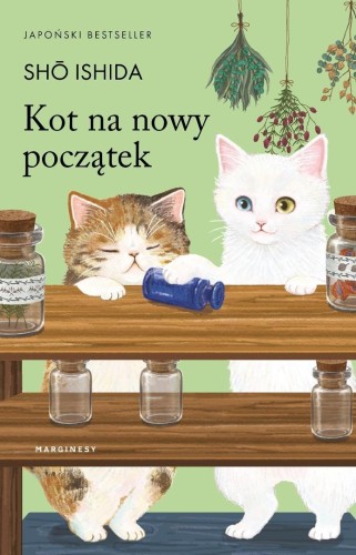 Kot na nowy początek, Sho Ishida