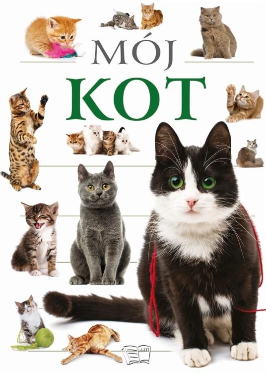 Mój kot, praca zbiorowa