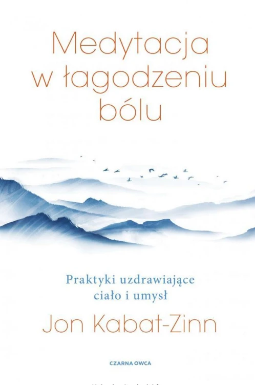 Medytacja w łagodzeniu bólu, Jon Kabat-Zinn