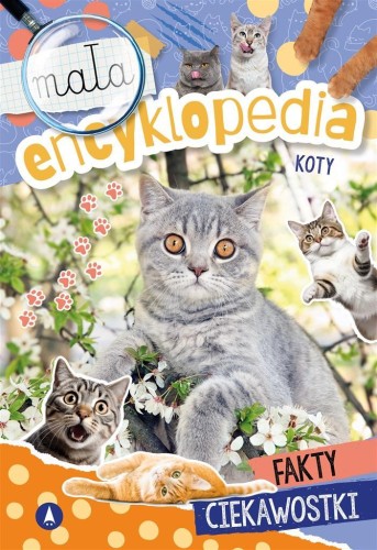 Mała encyklopedia. Koty, Wioleta Żyłowska