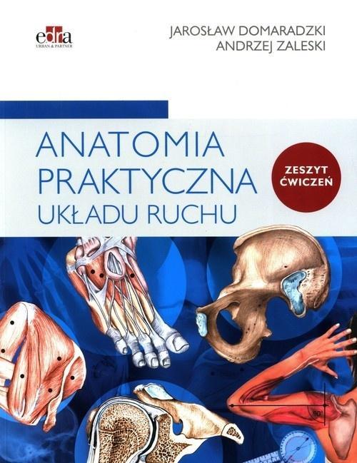 Anatomia praktyczna układu ruchu. Ćwiczenia