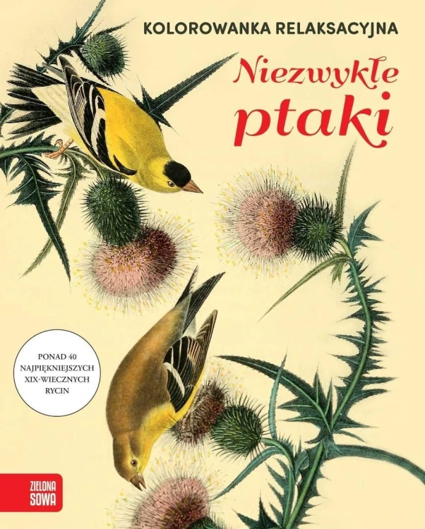 Kolorowanka relaksacyjna. Niezwykłe ptaki