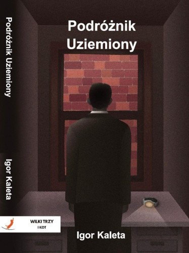 Podróżnik T.2 Podróżnik Uziemiony, Igor Kaleta