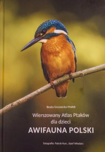 Wierszowany Atlas Ptaków dla dzieci