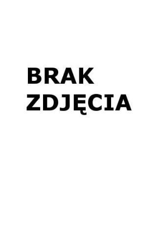 Zeszyt B5/60K linia Academy Hybrid (10szt)