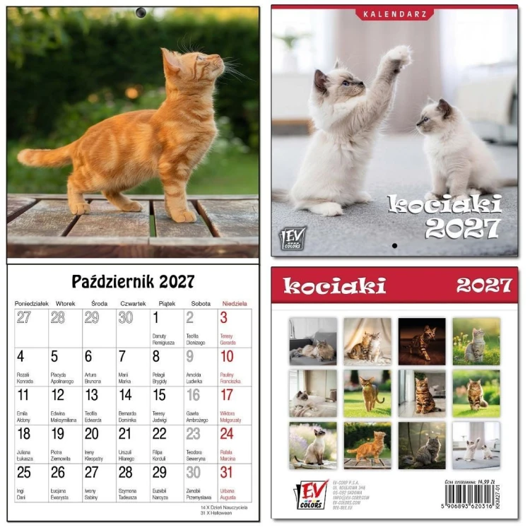 Kalendarz 2027 dla dzieci 16x32 13 plansz Kociaki