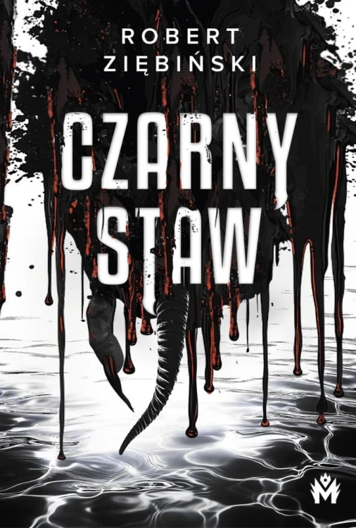 Czarny Staw, Robert Ziębiński