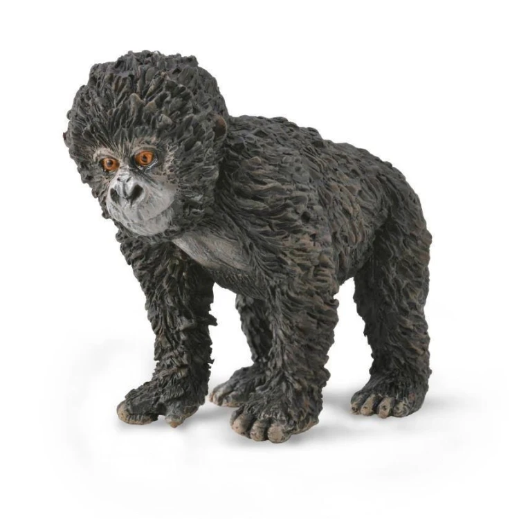 Młode goryla górskiego, Collecta