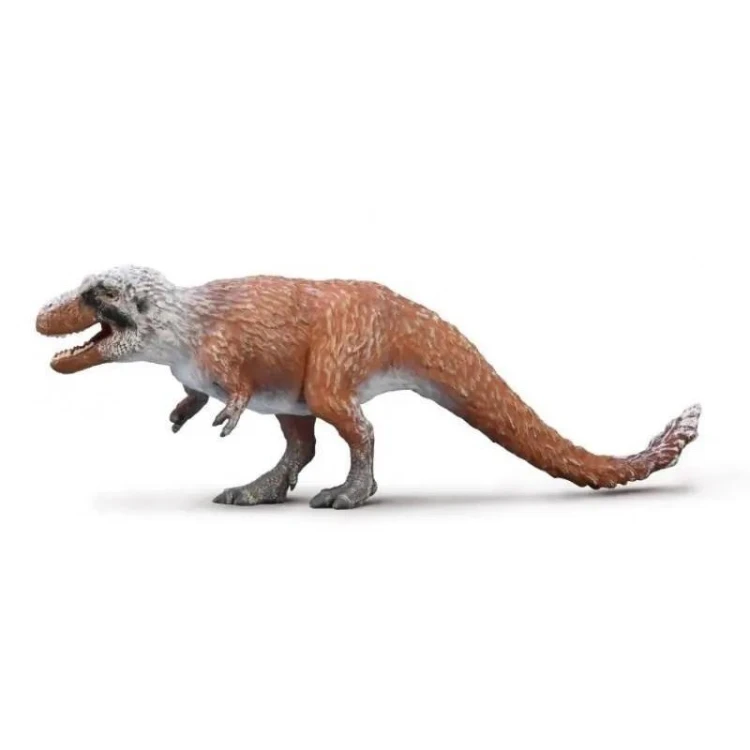 Nanqsaurus polujący, Collecta