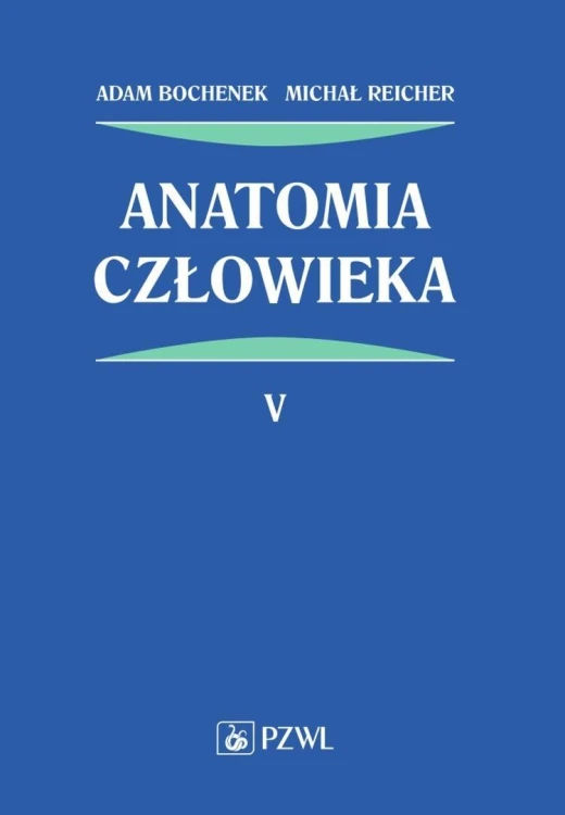 Anatomia człowieka T.5