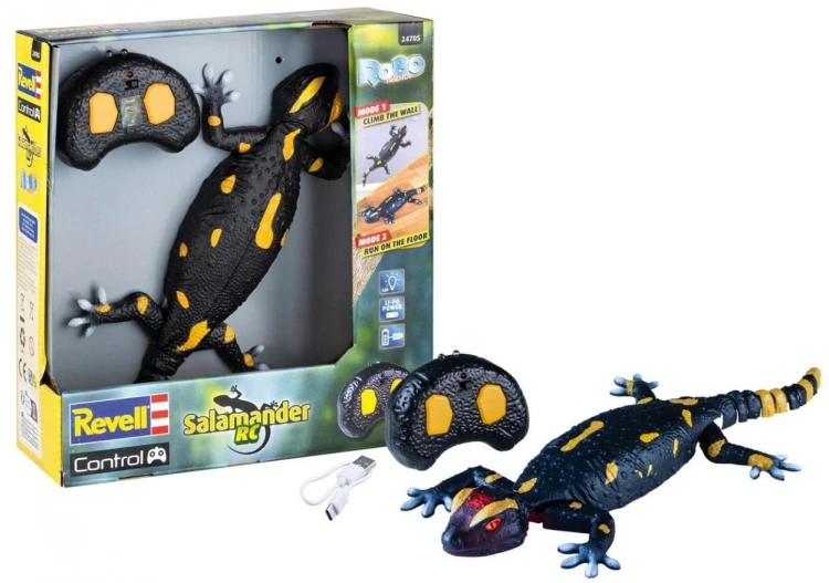 Robo Friends Salamander, Carrera