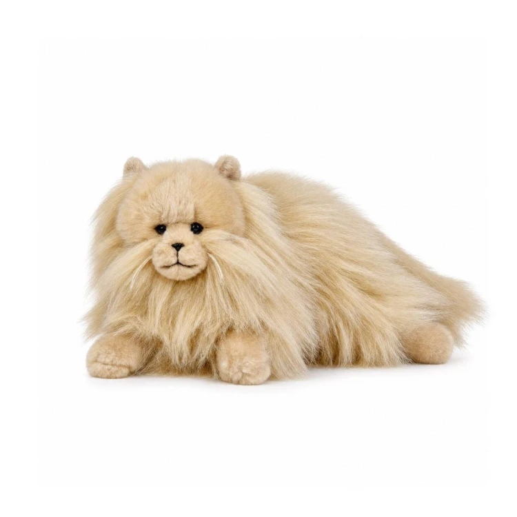 Kot perski karmelowy 35cm, Beppe