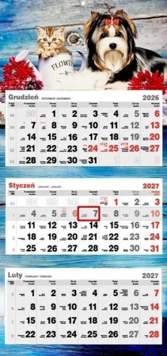 Kalendarz 2027 trójdzielny Kot i Pies