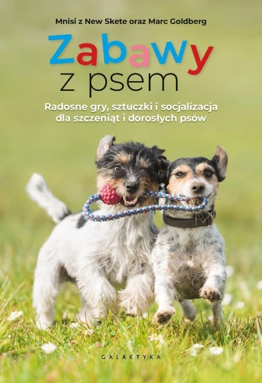 Zabawy z psem. Radosne gry, sztuczki...
