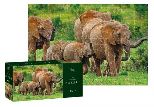Puzzle 250 Wild Animals Elephants, INTERDRUK