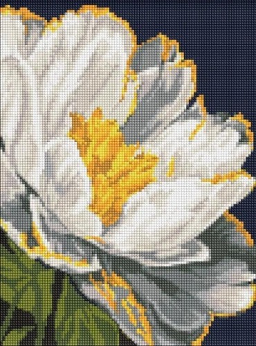 Diamentowa mozaika - Blask piwonii 30x40cm, Ideyka