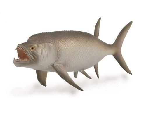 Wymarła ryba Xiphactinus, Collecta