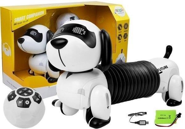 Pies robot zdalnie sterowany, Leantoys